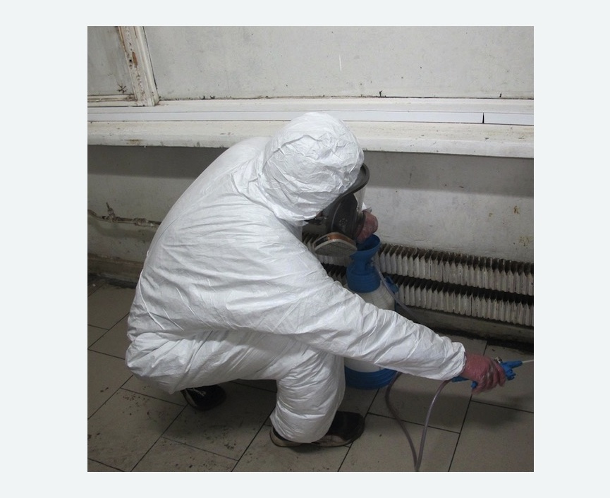 обработка магазина от covid-19 в Балабаново
